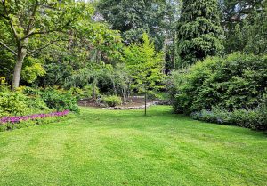 Optimiser l'expérience du jardin à Noyelle-Vion